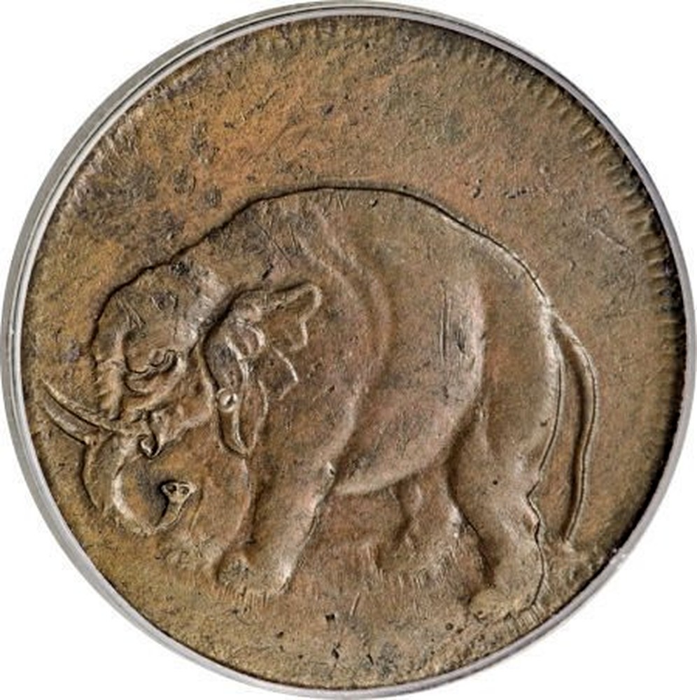 Elephant Coin