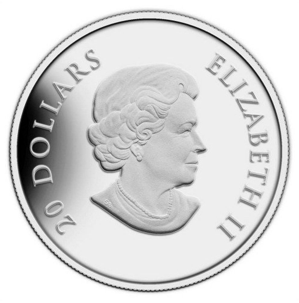 Canada 2013 Winter Snowflake Crystal 20 Dollars 1oz Silver Coin,Proof 