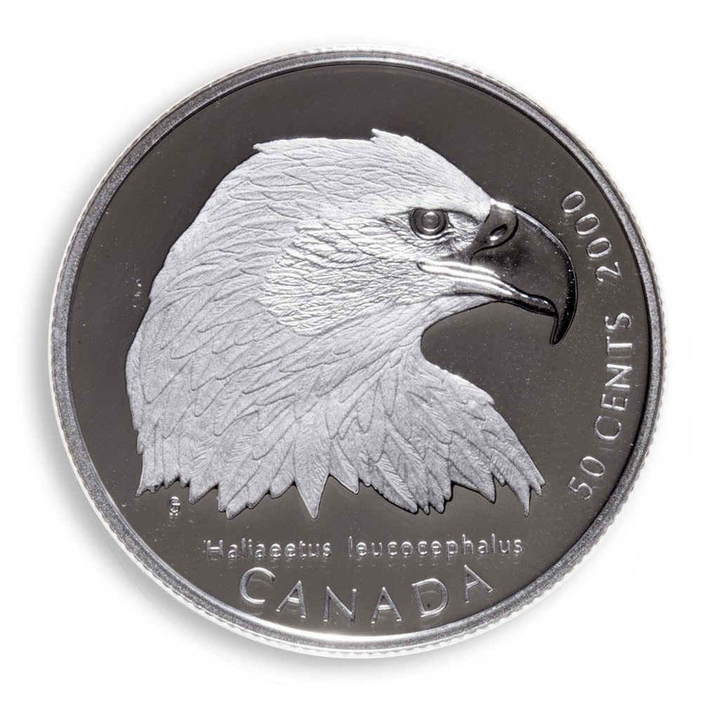 Birds coin. Bald Eagle Coin.