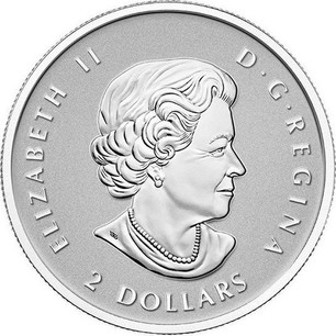 Canadian 1 10 Oz Silver 2 Dollars 