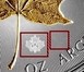 Илюстрация отличий монеты 1 унция серебра 5 долларов «Золотой кленовый лист» 2014 - 2017