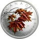 Илюстрация отличий монеты 1 унция серебра 5 долларов "Сахарный кленовый лист" 2007 км № 925