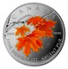 Ilustración de las diferencia de la moneda 1 Oz Plata 5 Dólares "Hoja de Arce de Azúcar Naranja" 2007 KM# 928
