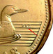 Илюстрация отличий монеты Dollar "Loonie" 2012 - 2022 KM# 1255