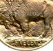 Ilustración de las diferencia de la moneda Cinco Centavos "Níquel Búfalo" 1913 KM# 133