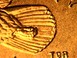 Илюстрация отличий монеты Dollar "Sacagawea" 2000 - 2008 KM# 310