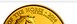 Илюстрация отличий монеты 1 унция золота 100 фунтов "Год Лошади" 2014