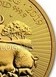 Illustration of the specifics of the 1 Oz Gold 100 Pounds "Year of the Pig" 2019