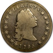 USA Dollar Flowing Hair 1795 2 leaves KM# 17 LIBERTY coin obverse USA Dollar Flowing Hair 1795 2 leaves KM# 17 LIBERTY coin obverse