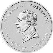 Australia 1 Dollar Year of the Snake. ANDA 2025 P CHARLES III AUSTRALIA 1 OZ 9999 AG 1 DOLLAR DT coin obverse Australia 1 Dollar Year of the Snake. ANDA 2025 P CHARLES III AUSTRALIA 1 OZ 9999 AG 1 DOLLAR DT coin obverse