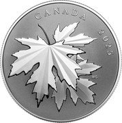 Canada 10 Dollars Gleaming Maple Leaves 2025 MG CANADA 2025 coin reverse Canada 10 Dollars Gleaming Maple Leaves 2025 MG CANADA 2025 coin reverse