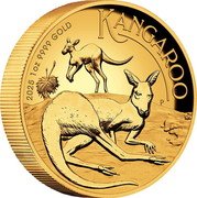 Australia 100 Dollars (Australian Kangaroos) 2025 1 OZ 9999 GOLD P KANGAROO NH coin reverse