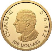 Canada 100 Dollars Tomb of the Unknown Soldier 25th Anniversary 2025 Proof CHARLES III D G REX SR 100 DOLLARS coin obverse Canada 100 Dollars Tomb of the Unknown Soldier 25th Anniversary 2025 Proof CHARLES III D G REX SR 100 DOLLARS coin obverse