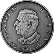 Canada 175 Dollars (Predator or Prey in Shadow Box) CHARLES III D G REX 175 DOLLARS SR coin obverse Canada 175 Dollars (Predator or Prey in Shadow Box) CHARLES III D G REX 175 DOLLARS SR coin obverse
