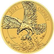 Australia 25 Dollars (Australian Osprey. Bullion) NH P 2021 OSPREY coin reverse Australia 25 Dollars (Australian Osprey. Bullion) NH P 2021 OSPREY coin reverse