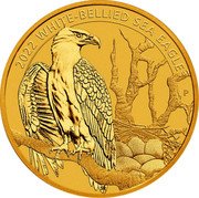 Australia 25 Dollars (White Bellied Sea Eagle. Bullion) 2022 WHITE-BELLIED SEA EAGLE P coin reverse Australia 25 Dollars (White Bellied Sea Eagle. Bullion) 2022 WHITE-BELLIED SEA EAGLE P coin reverse