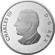 Canada 30 Dollars (Mustang Country by Robert Bateman) CHARLES III D G REX SR coin obverse Canada 30 Dollars (Mustang Country by Robert Bateman) CHARLES III D G REX SR coin obverse