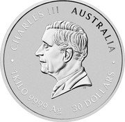 Australia 30 Dollars (Year of the Snake. Gold Privy. Blue) CHARLES III AUSTRALIA 1 KILO 9999 AG 30 DOLLARS DT coin obverse Australia 30 Dollars (Year of the Snake. Gold Privy. Blue) CHARLES III AUSTRALIA 1 KILO 9999 AG 30 DOLLARS DT coin obverse