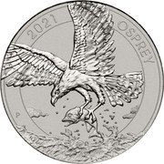 Australia 50 Dollars (Australian Osprey. Bullion) NH P 2021 OSPREY coin reverse Australia 50 Dollars (Australian Osprey. Bullion) NH P 2021 OSPREY coin reverse