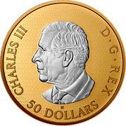 Canada 50 Dollars (Maple Leaves in Motion) CANADA 2025 LTK coin reverse Canada 50 Dollars (Maple Leaves in Motion) CANADA 2025 LTK coin reverse