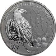 Australia 50 Dollars (White Bellied Sea Eagle. Bullion) 2022 WHITE-BELLIED SEA EAGLE P coin reverse Australia 50 Dollars (White Bellied Sea Eagle. Bullion) 2022 WHITE-BELLIED SEA EAGLE P coin reverse