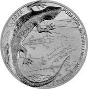 Croatia 6 Euro (Black Lizard) 2025. PODARCIS MELISELLENSIS MELISELLENSIS coin reverse