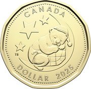 Canada Dollar (Baby Bear) CANADA DOLLAR 2025 TB coin reverse Canada Dollar (Baby Bear) CANADA DOLLAR 2025 TB coin reverse
