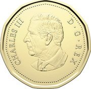Canada Dollar (Canada Celebration) CHARLES III D G REX SR coin obverse Canada Dollar (Canada Celebration) CHARLES III D G REX SR coin obverse