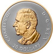 Canada 20 Dollars (Celebrate Love) CHARLES III D G REX 20 DOLLARS SR coin obverse Canada 20 Dollars (Celebrate Love) CHARLES III D G REX 20 DOLLARS SR coin obverse