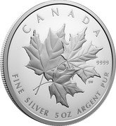 Canada 50 Dollars Triple Maple 2025 Proof SW 9999 CANADA FINE FINE SILVER 5 OZ ARGENT PUR coin reverse Canada 50 Dollars Triple Maple 2025 Proof SW 9999 CANADA FINE FINE SILVER 5 OZ ARGENT PUR coin reverse