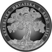 Croatia 6 Euro (1100th Anniversary of the Croatian Kingdom. King Tomislav) REPUBLIKA HRVATSKA 6 EURO 2025. coin obverse