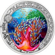 Austria 3 Euro (Nudibranch) NACKTKIEMERSCHNECKE coin reverse Austria 3 Euro (Nudibranch) NACKTKIEMERSCHNECKE coin reverse