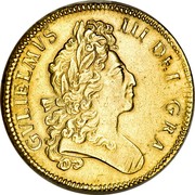 UK 5 Guineas William III 1699 KM# 505.1 GVLIELMVS III DEI GRA coin obverse UK 5 Guineas William III 1699 KM# 505.1 GVLIELMVS III DEI GRA coin obverse