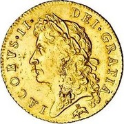 UK Guinea James II 1685 KM# 453.2 IACOBVS∙II∙ DEI∙GRATIA coin obverse UK Guinea James II 1685 KM# 453.2 IACOBVS∙II∙ DEI∙GRATIA coin obverse