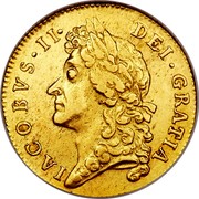 UK Guinea James II 1686 KM# 459.1 IACOBVS∙II∙ DEI∙GRATIA coin obverse UK Guinea James II 1686 KM# 459.1 IACOBVS∙II∙ DEI∙GRATIA coin obverse