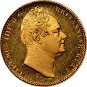 UK 1/2 Sovereign William IV 1831 Proof, plain edge KM# 716 GULIELMUS IIII D:G: BRITANNIAR: REX F:D: coin obverse UK 1/2 Sovereign William IV 1831 Proof, plain edge KM# 716 GULIELMUS IIII D:G: BRITANNIAR: REX F:D: coin obverse