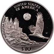 USA $10 American Eagle 1998 W KM# 289 UNITED STATES OF AMERICA .9995 PLATINUM 1/10 OZ. $10 coin reverse USA $10 American Eagle 1998 W KM# 289 UNITED STATES OF AMERICA .9995 PLATINUM 1/10 OZ. $10 coin reverse