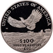 USA $100 American Eagle 2000 W KM# 317 UNITED STATES OF AMERICA .9995 PLATINUM 1 OZ $100 W coin reverse USA $100 American Eagle 2000 W KM# 317 UNITED STATES OF AMERICA .9995 PLATINUM 1 OZ $100 W coin reverse