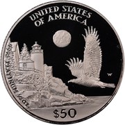 USA $50 American Eagle 1998 W KM# 291 UNITED STATES OF AMERICA .9995 PLATINUM 1/2 OZ. $50 W coin reverse USA $50 American Eagle 1998 W KM# 291 UNITED STATES OF AMERICA .9995 PLATINUM 1/2 OZ. $50 W coin reverse