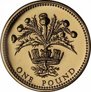UK One Pound Thistle of Scotland 1989 Proof KM# 959 ONE POUND coin reverse UK One Pound Thistle of Scotland 1989 Proof KM# 959 ONE POUND coin reverse