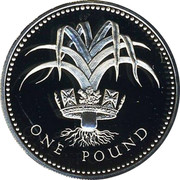 UK One Pound Welsh Leek 1985 Proof KM# 941a ONE POUND coin reverse UK One Pound Welsh Leek 1985 Proof KM# 941a ONE POUND coin reverse