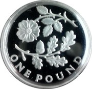 UK Pound Rose and Oak 2013 Proof KM# 1237a ONE POUND coin reverse UK Pound Rose and Oak 2013 Proof KM# 1237a ONE POUND coin reverse