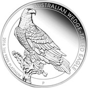 Australia 100 Dollars Australian Wedge-Tailed Eagle 2016 KM# 2220 AUSTRALIAN WEDGE-TAILED EAGLE 2016 1 OZ 9995 PLATINUM P JM coin reverse Australia 100 Dollars Australian Wedge-Tailed Eagle 2016 KM# 2220 AUSTRALIAN WEDGE-TAILED EAGLE 2016 1 OZ 9995 PLATINUM P JM coin reverse