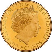 UK 100 Pounds Britannia 2013 British Royal Mint Proof KM# 1273 ELIZABETH'II'D'G REG'FID'DEF'100'POUNDS' IRB coin obverse UK 100 Pounds Britannia 2013 British Royal Mint Proof KM# 1273 ELIZABETH'II'D'G REG'FID'DEF'100'POUNDS' IRB coin obverse