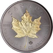Canada 5 Dollars Golden Maple Leaf 2015 ELIZABETH II 5 DOLLARS YEAR SB coin obverse Canada 5 Dollars Golden Maple Leaf 2015 ELIZABETH II 5 DOLLARS YEAR SB coin obverse