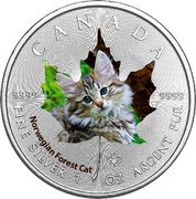 Canada 5 Dollars Maple Leaf - Norwegian Forest Cat 2017 CANADA 9999 9999 FINE SILVER 1 OZ ARGENT PUR NORWEGIAN FOREST CAT coin reverse Canada 5 Dollars Maple Leaf - Norwegian Forest Cat 2017 CANADA 9999 9999 FINE SILVER 1 OZ ARGENT PUR NORWEGIAN FOREST CAT coin reverse