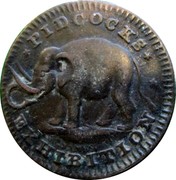 UK Farthing (Middlesex - Pidcock / Exeter Change) * PIDCOCK'S * * EXHIBITION coin obverse UK Farthing (Middlesex - Pidcock / Exeter Change) * PIDCOCK'S * * EXHIBITION coin obverse