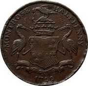 UK Halfpenny Angusshire - Montrose / Lunatic Hospital 1799  MONTROSE HALFPENNY NE OUBLIE 1799 coin obverse UK Halfpenny Angusshire - Montrose / Lunatic Hospital 1799  MONTROSE HALFPENNY NE OUBLIE 1799 coin obverse