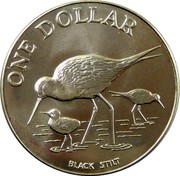 New Zealand One Dollar Black Stilt 1985 (c) Proof KM# 55a ONE DOLLAR BLACK STILT coin reverse New Zealand One Dollar Black Stilt 1985 (c) Proof KM# 55a ONE DOLLAR BLACK STILT coin reverse