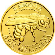 Ukraine 2 Hryvni Bee 2010 KM# 572 БДЖОЛА APIS MELLIFERA coin reverse Ukraine 2 Hryvni Bee 2010 KM# 572 БДЖОЛА APIS MELLIFERA coin reverse